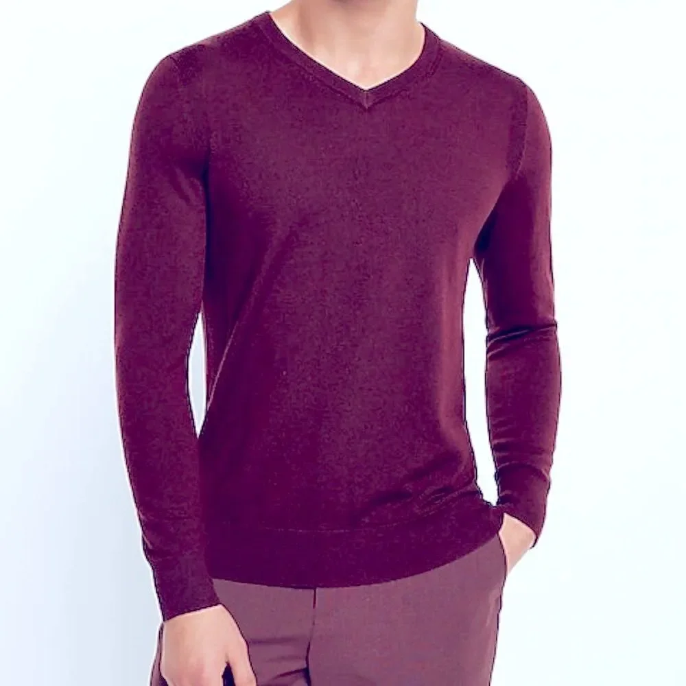 Express Design Studio Italian Merino Wool V Neck Sweater Purple Men's XL